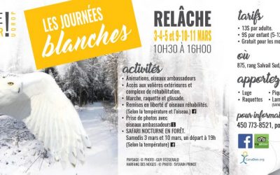 UQROP / Chouette à voir! : Les journées blanches