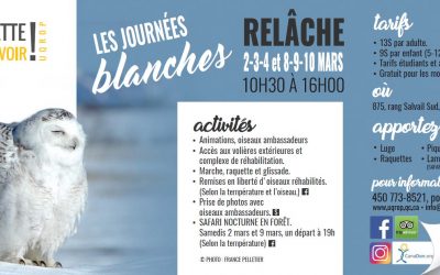 UQROP/Chouette à voir! : Journée blanche