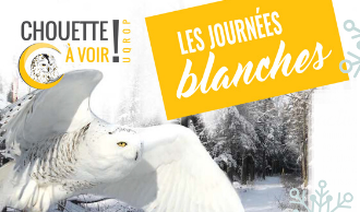 UQROP : Journées Blanches à Chouette à voir!