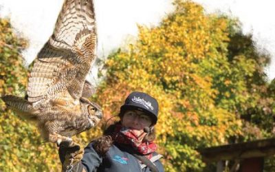 L’automne s’installe à Chouette à voir!