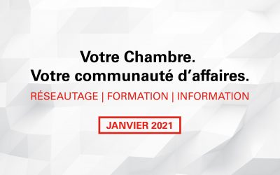 Rubrique mensuelle : Janvier 2021